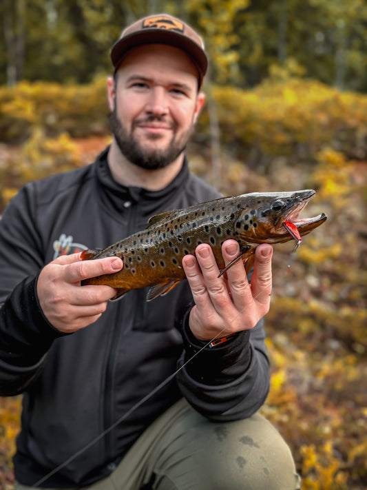 Pack Top 5 Leurres pour Truites de Norolan