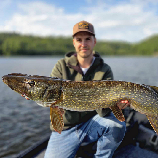 Pack Top 5 Leurres pour Brochets de Norolan