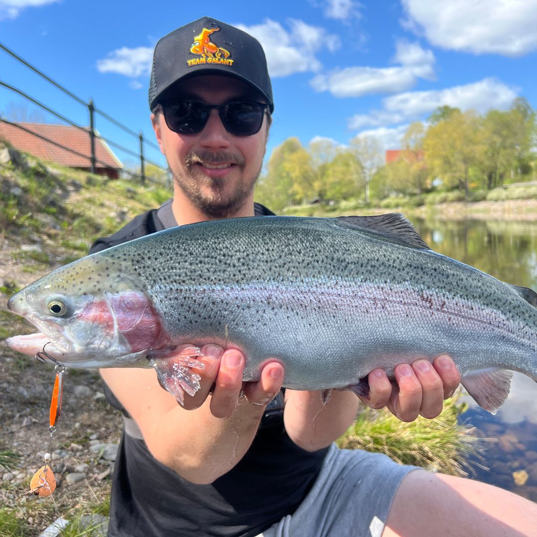 Pack Top 5 Leurres pour Truites de Norolan