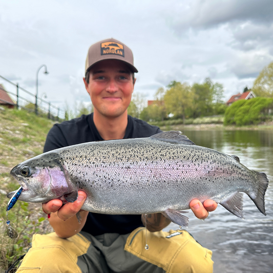 Pack Top 5 Leurres pour Truites de Norolan