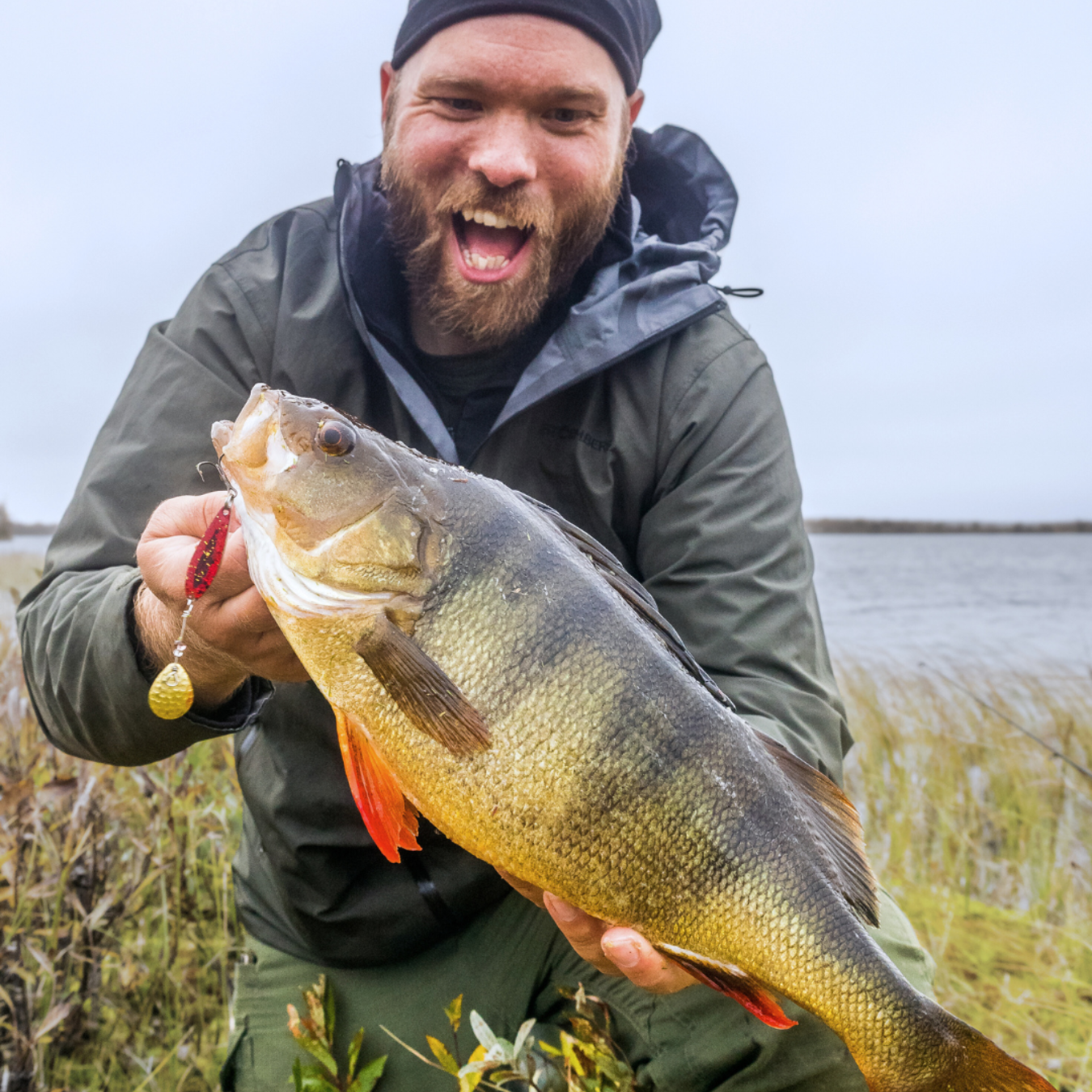 Le Disco Dancer Mini de Norolan