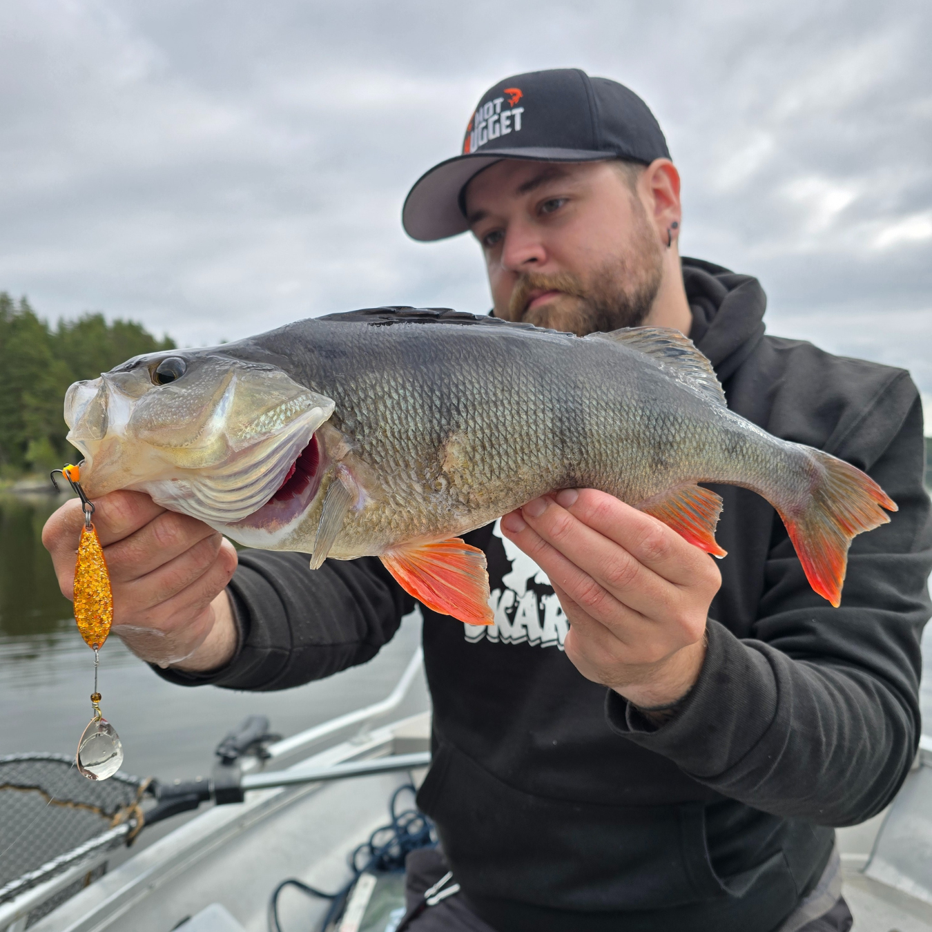 Pack Top 5 Leurres pour Perches de Norolan