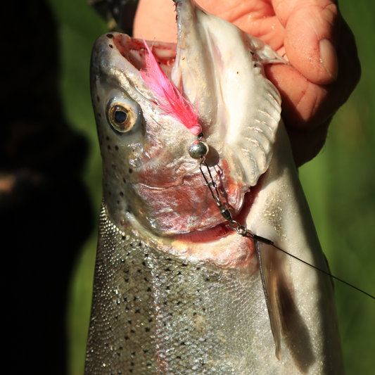 Flig Rizz Rocker™ de Norolan