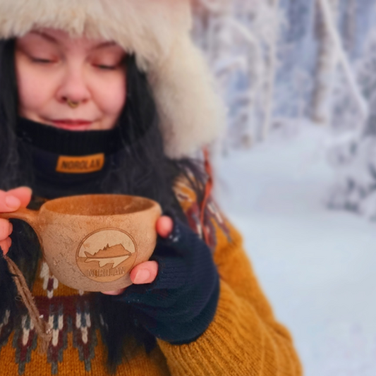 Mitaines en Laine Mérinos de Norolan