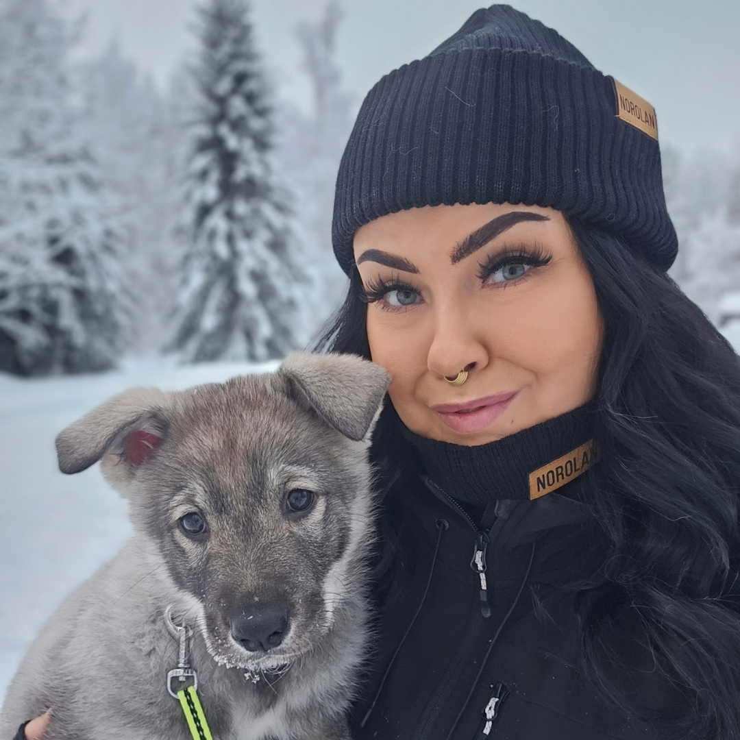 Cache-cou en Laine Merino de Norolan