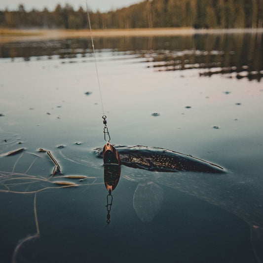 Light Spoon Mini de Norolan