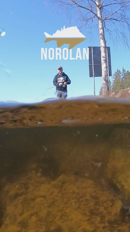 Le Disco Dancer de Norolan