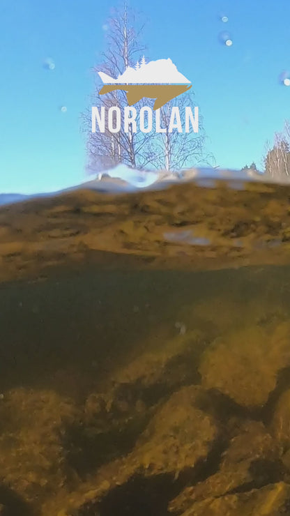 Belly Dancer de Norolan